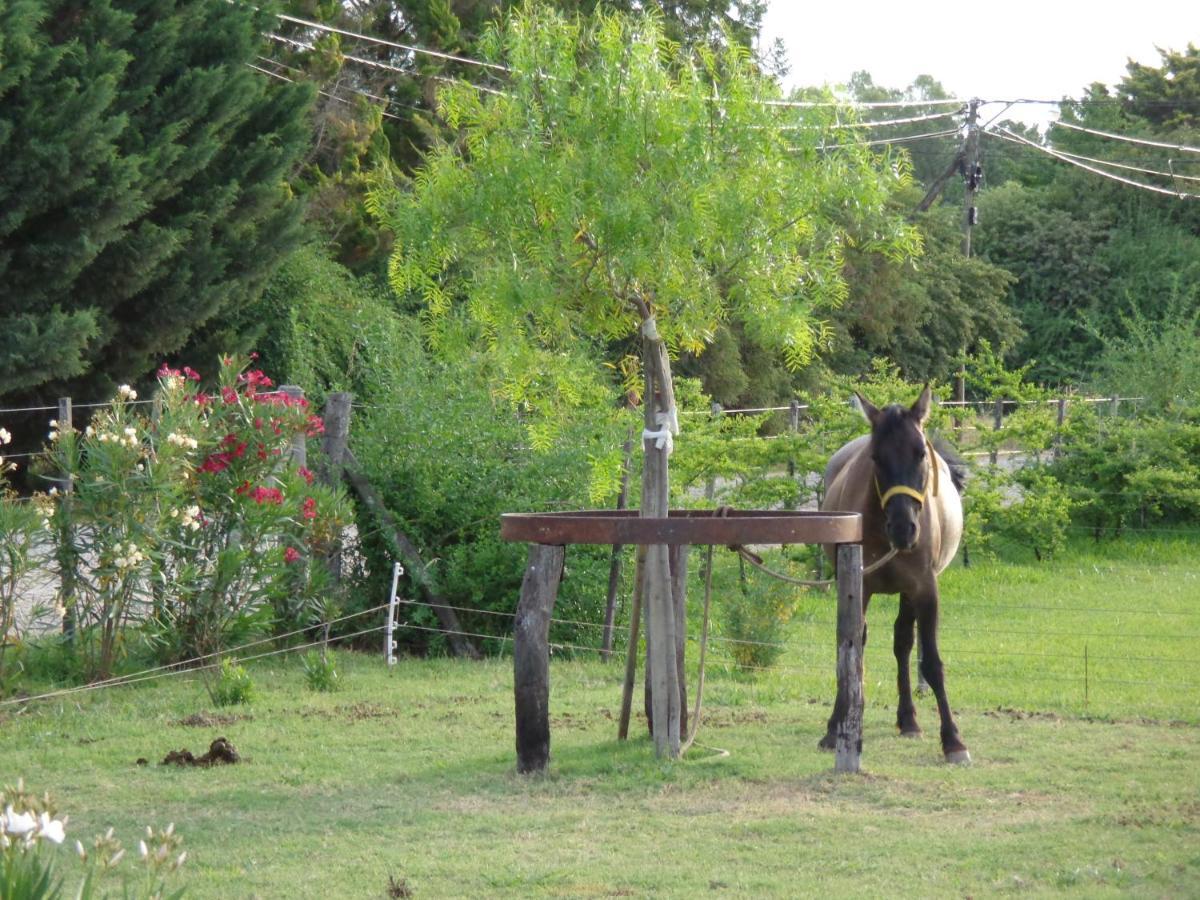 El Sendero - Gueiraldes B&B San Antonio de Areco Exterior foto