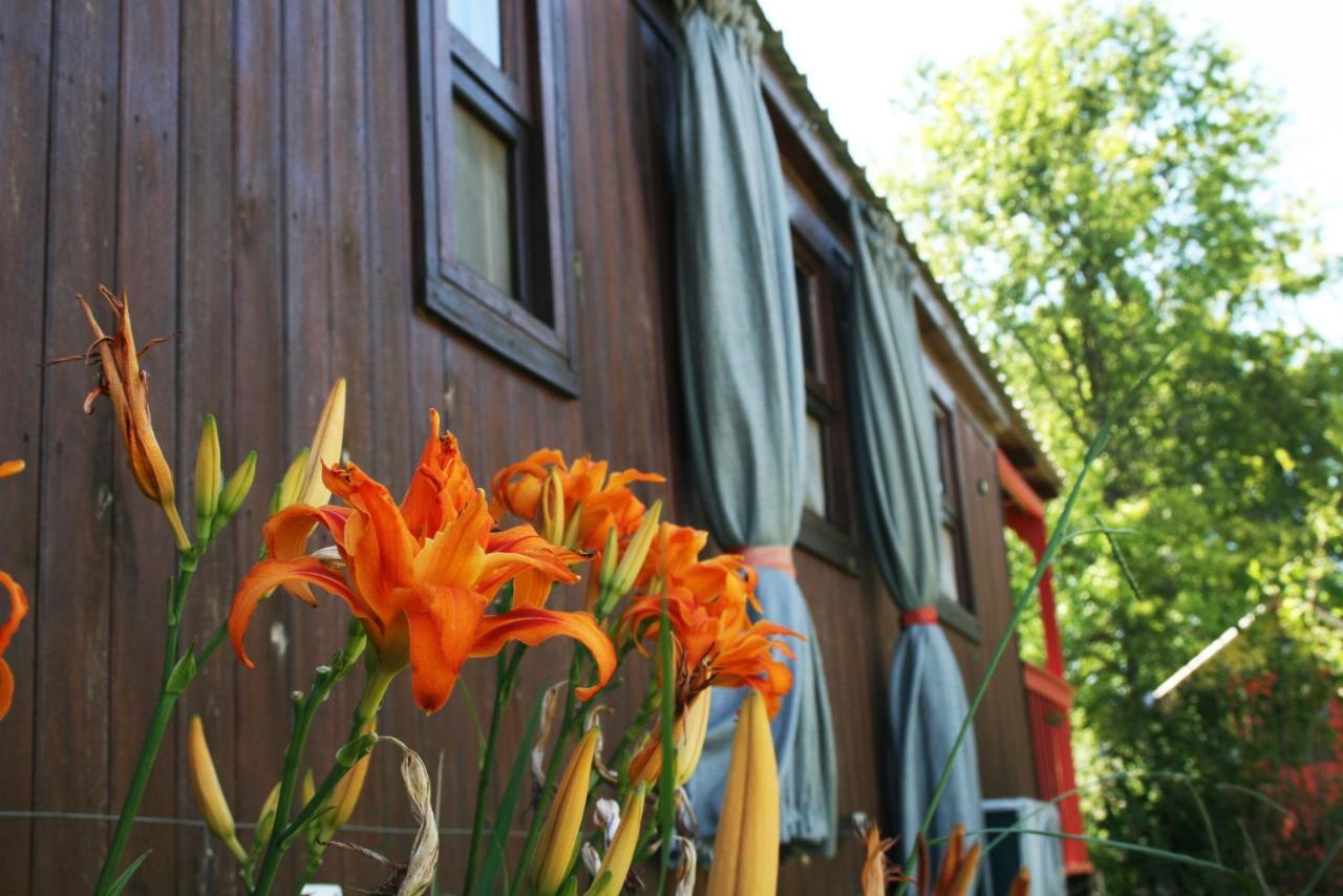 El Sendero - Gueiraldes B&B San Antonio de Areco Exterior foto